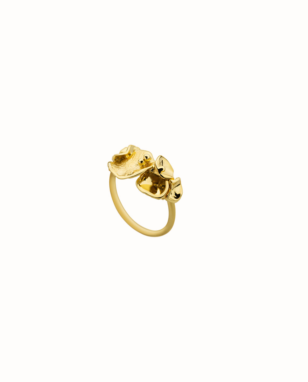 Anillo Campania