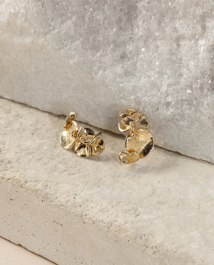 Aretes Campania