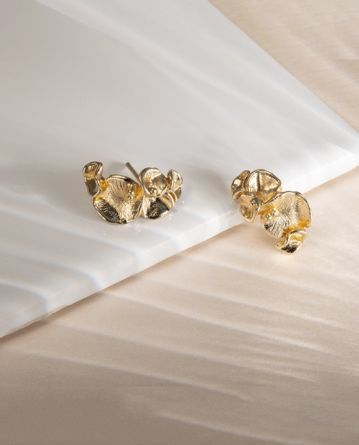 Aretes Campania