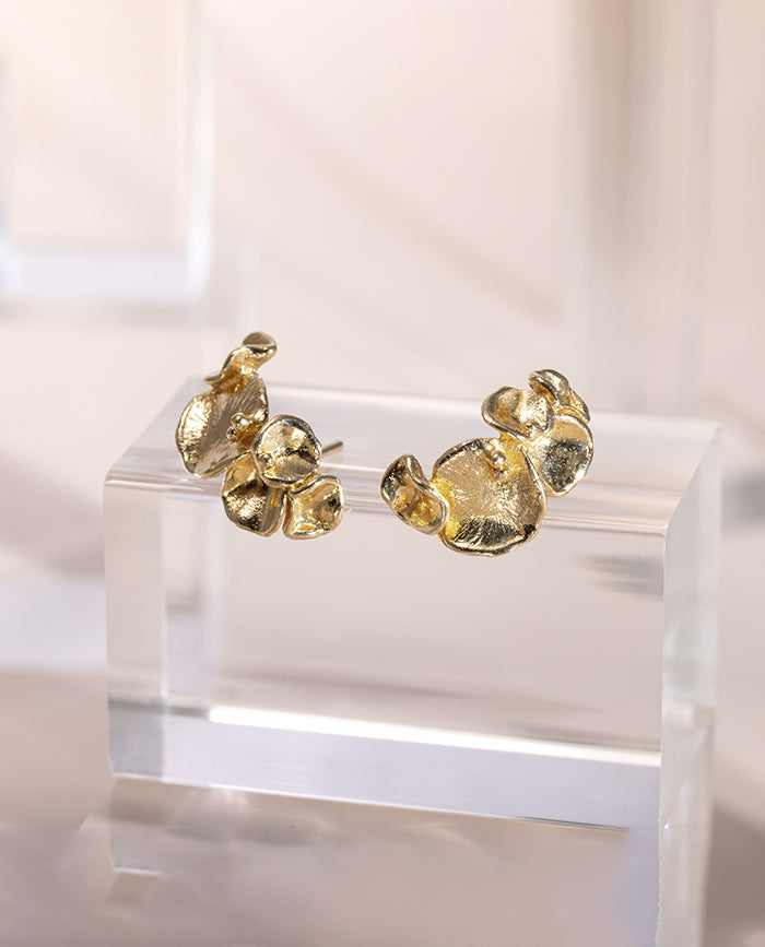 Aretes Campania