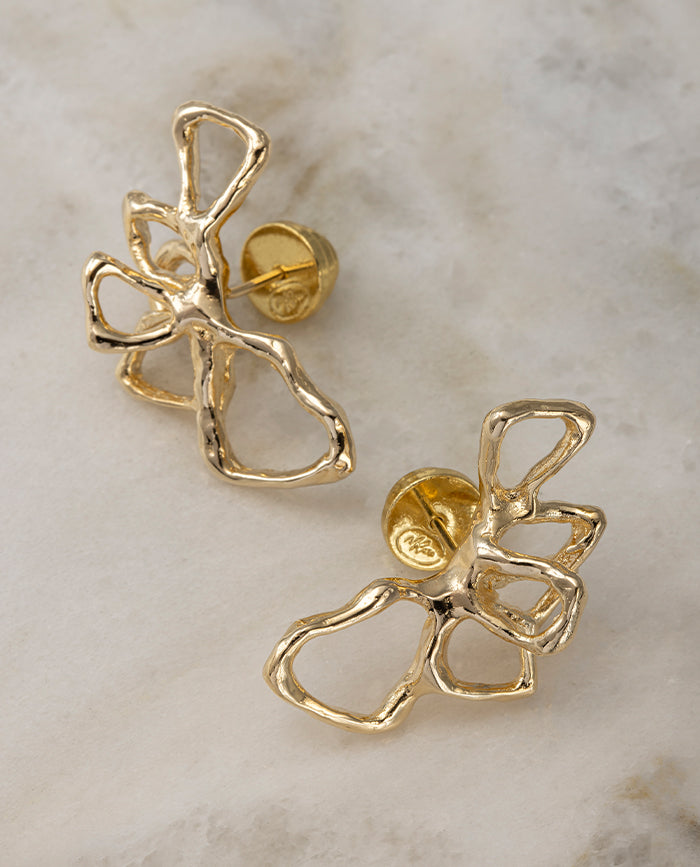 Aretes Akari