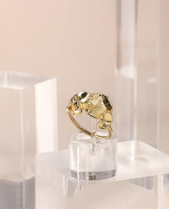 Anillo Campania