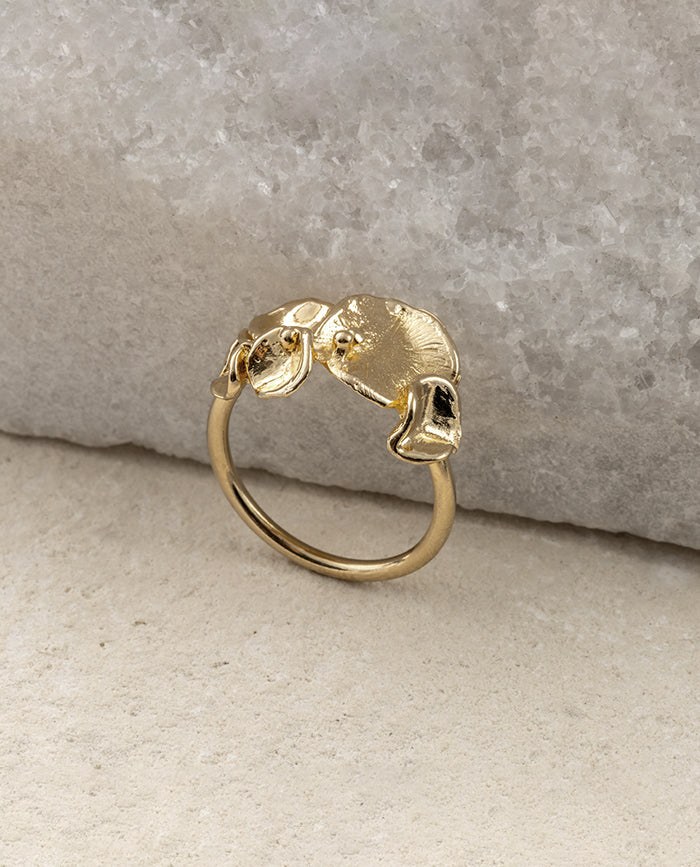Anillo Campania