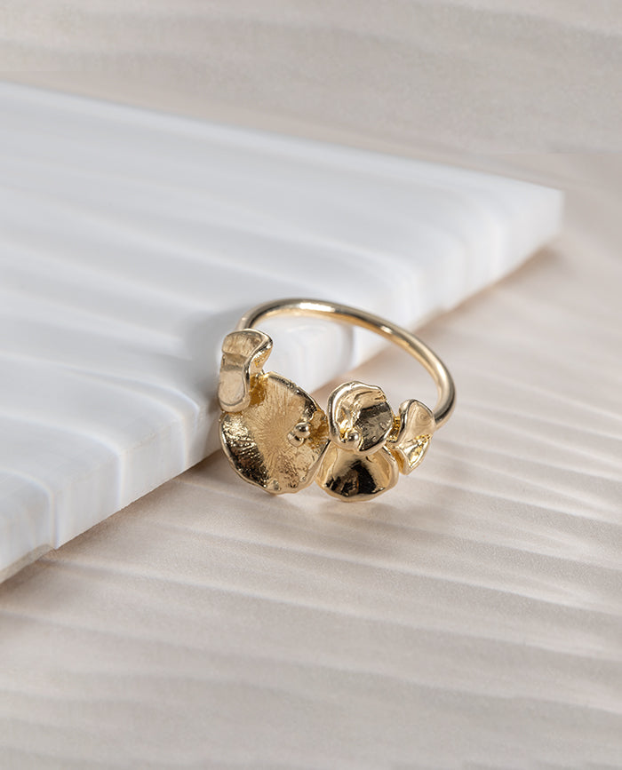 Anillo Campania