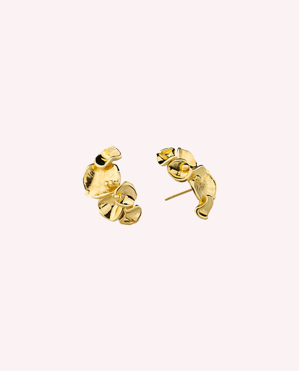 Aretes Campania