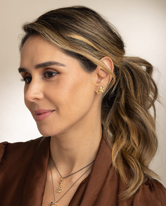 Aretes Campania