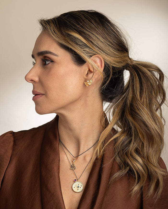 Aretes Campania