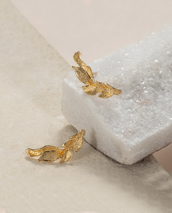 Aretes Cibao