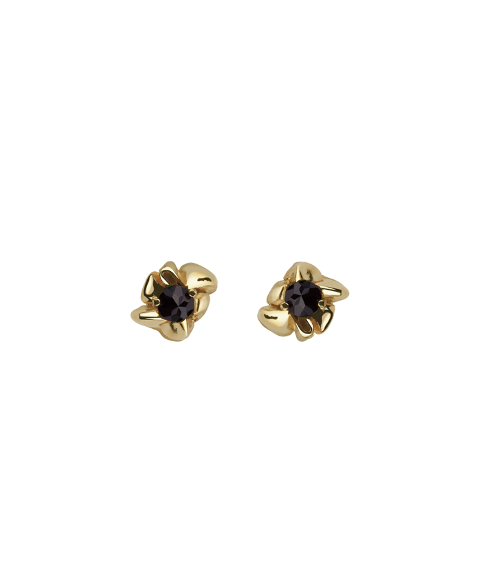 Aretes Erica