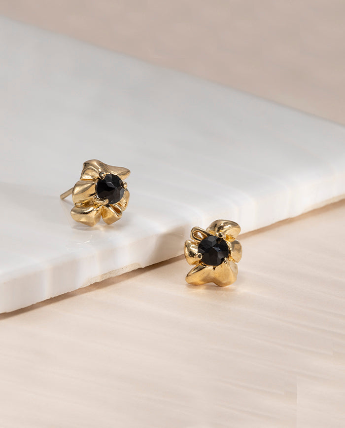 Aretes Erica