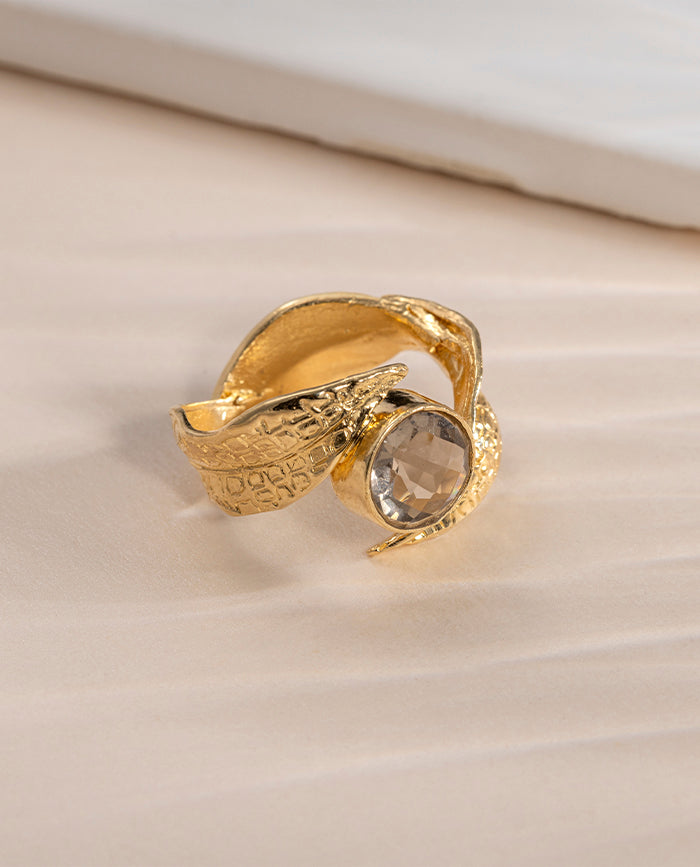 Anillo Nolina