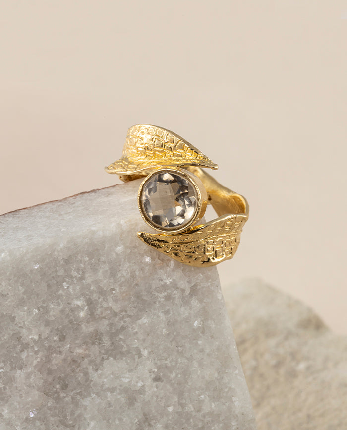 Anillo Nolina