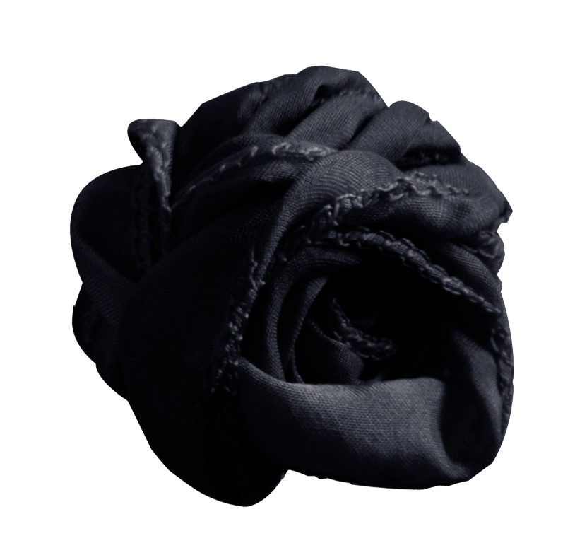 Listón Zelina Negro