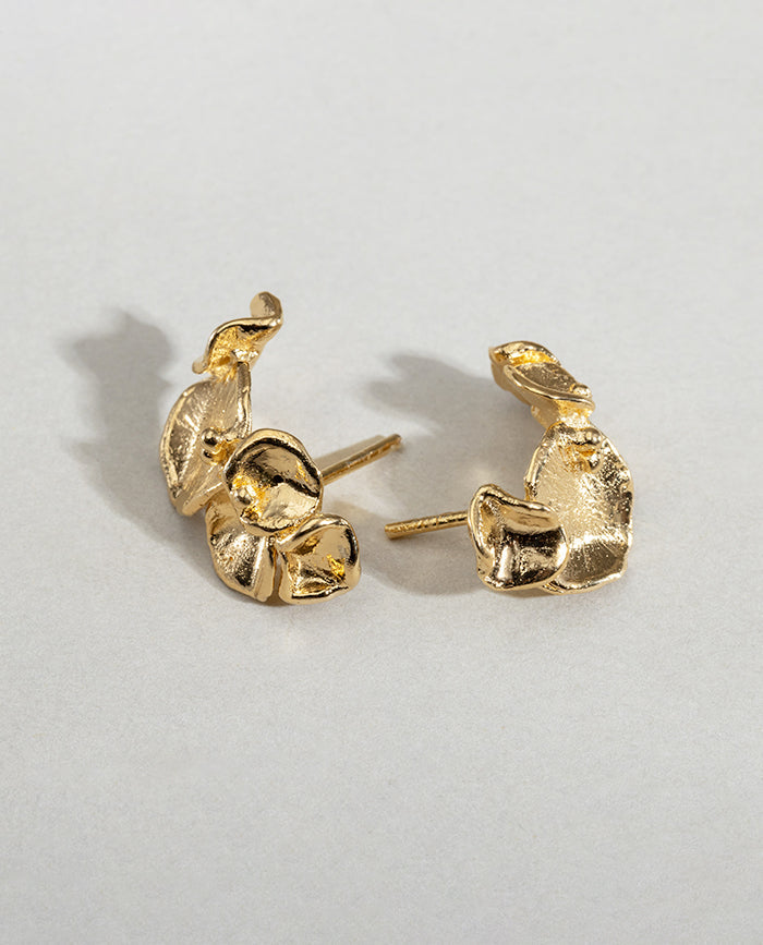 Aretes Campania