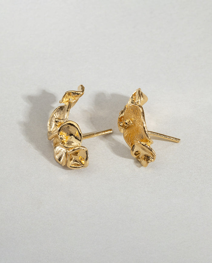 Aretes Campania