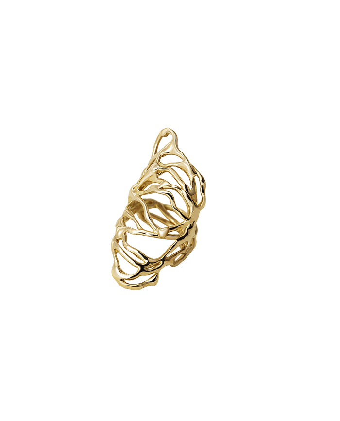 Anillo Aura