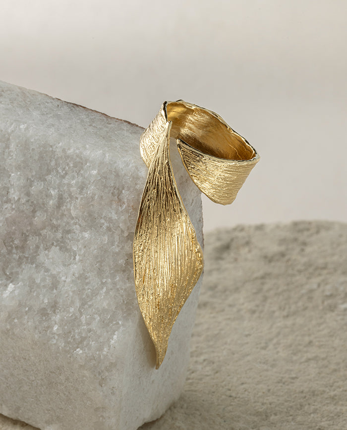 Anillo Bahia