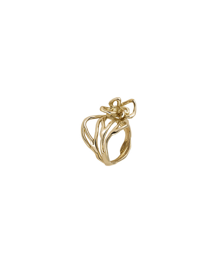 Anillo Lia