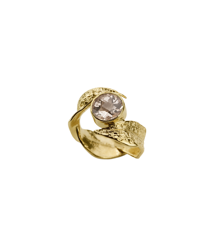 Anillo Nolina