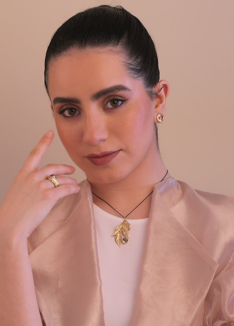Video anillo-nolina