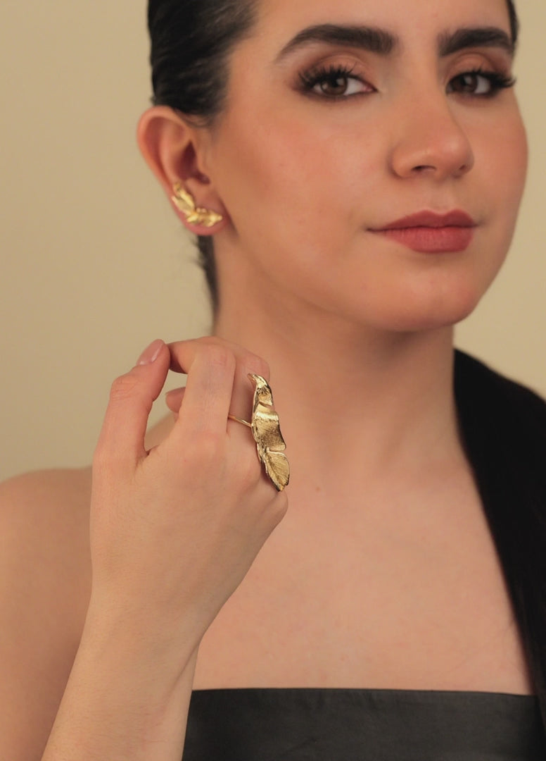 Video cibao-earrings-silver-copia